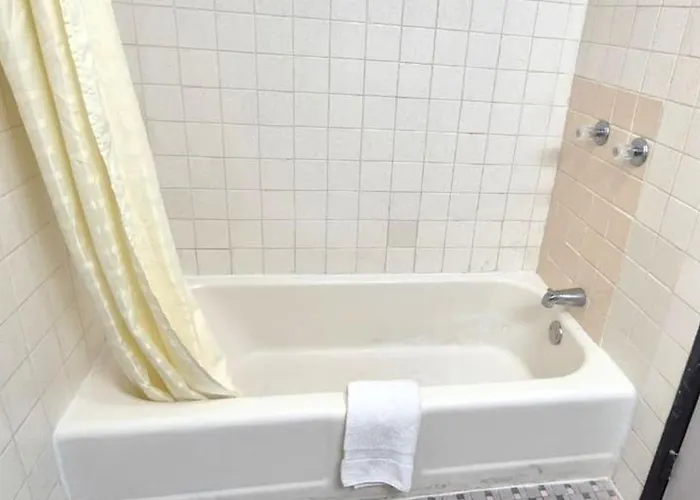 Dog friendly hotels Motel Edgebrook Chicago North Shore By Oyo