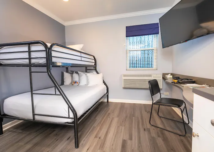 Hotel near College: Hotel Chicago West Loop, Surestay Collection By Best Western